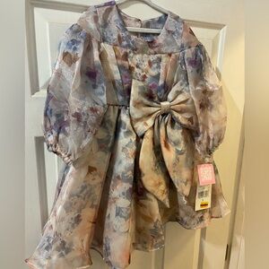 Girls 5 5T NWT Shimmer Floral Puffy Dress Bow Rare Editions